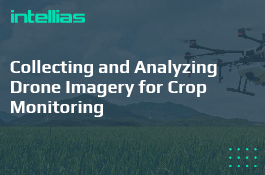 Collecting and Analyzing Drone Imagery for Crop Monitoring